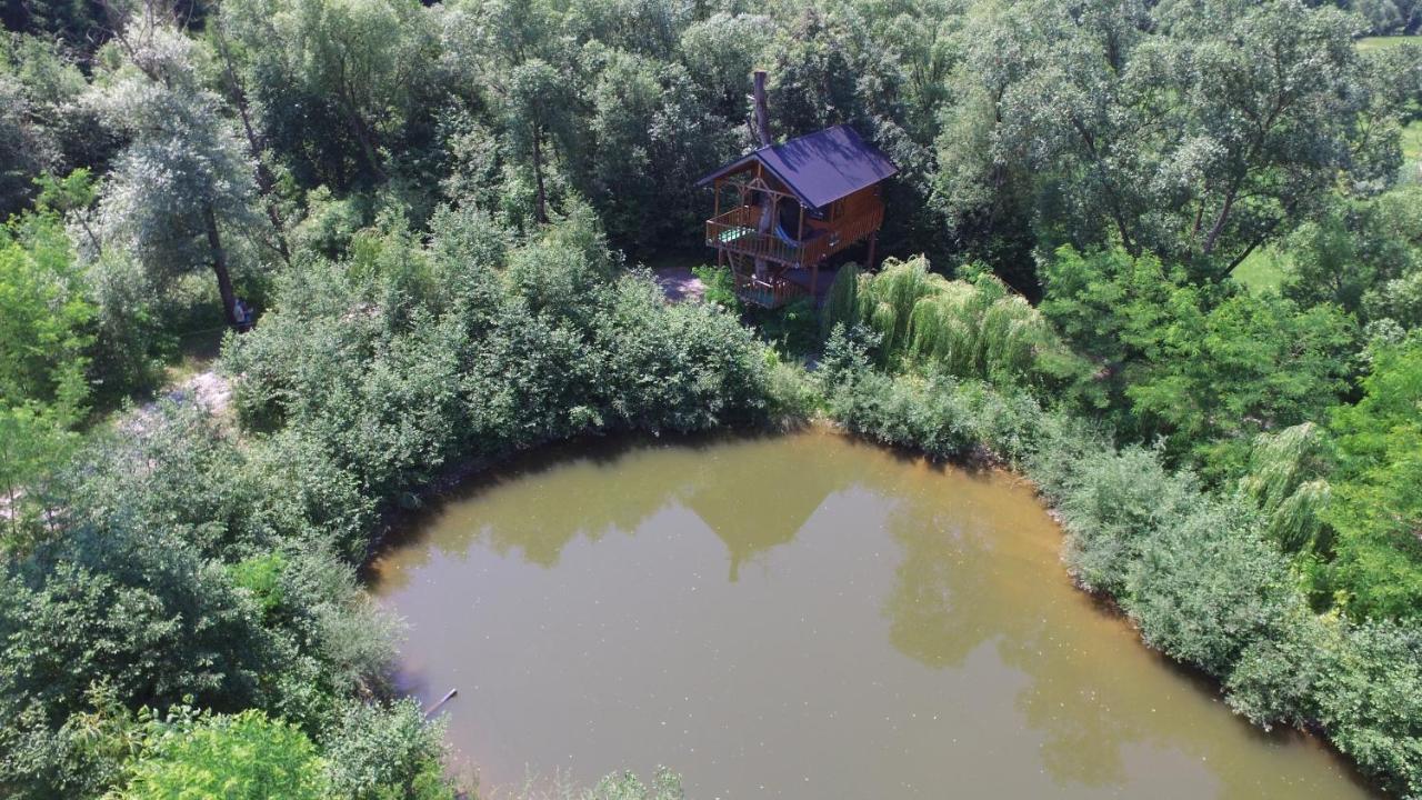모이세이 Cuibul Vulturilor - Casuta In Copac 빌라 외부 사진